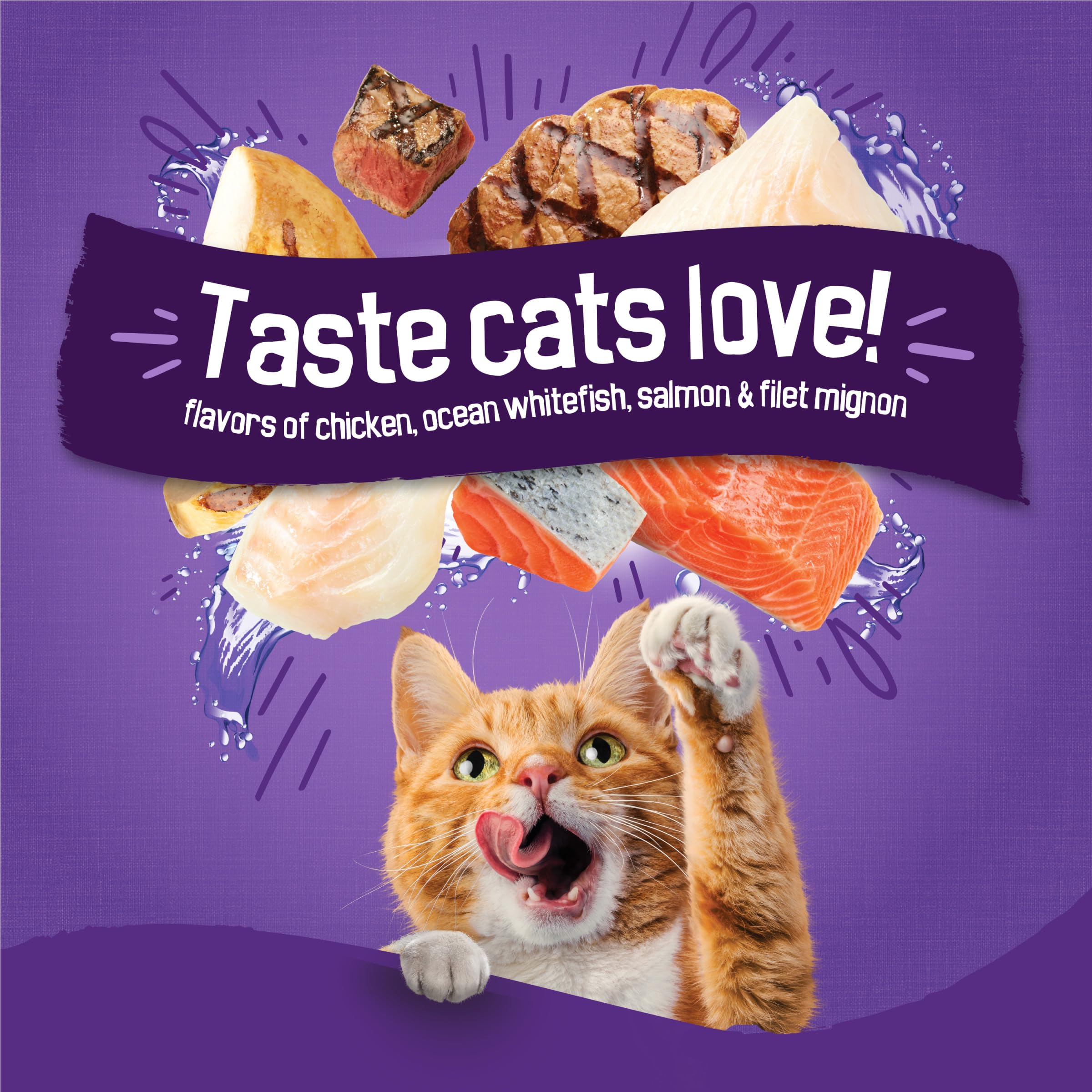 Purina Friskies Cat Food Surfin and Turfin Favorites Flavors of Chicken, Whitefish, Salmon and Filet Mignon - 22 lb. Bag - Image 4