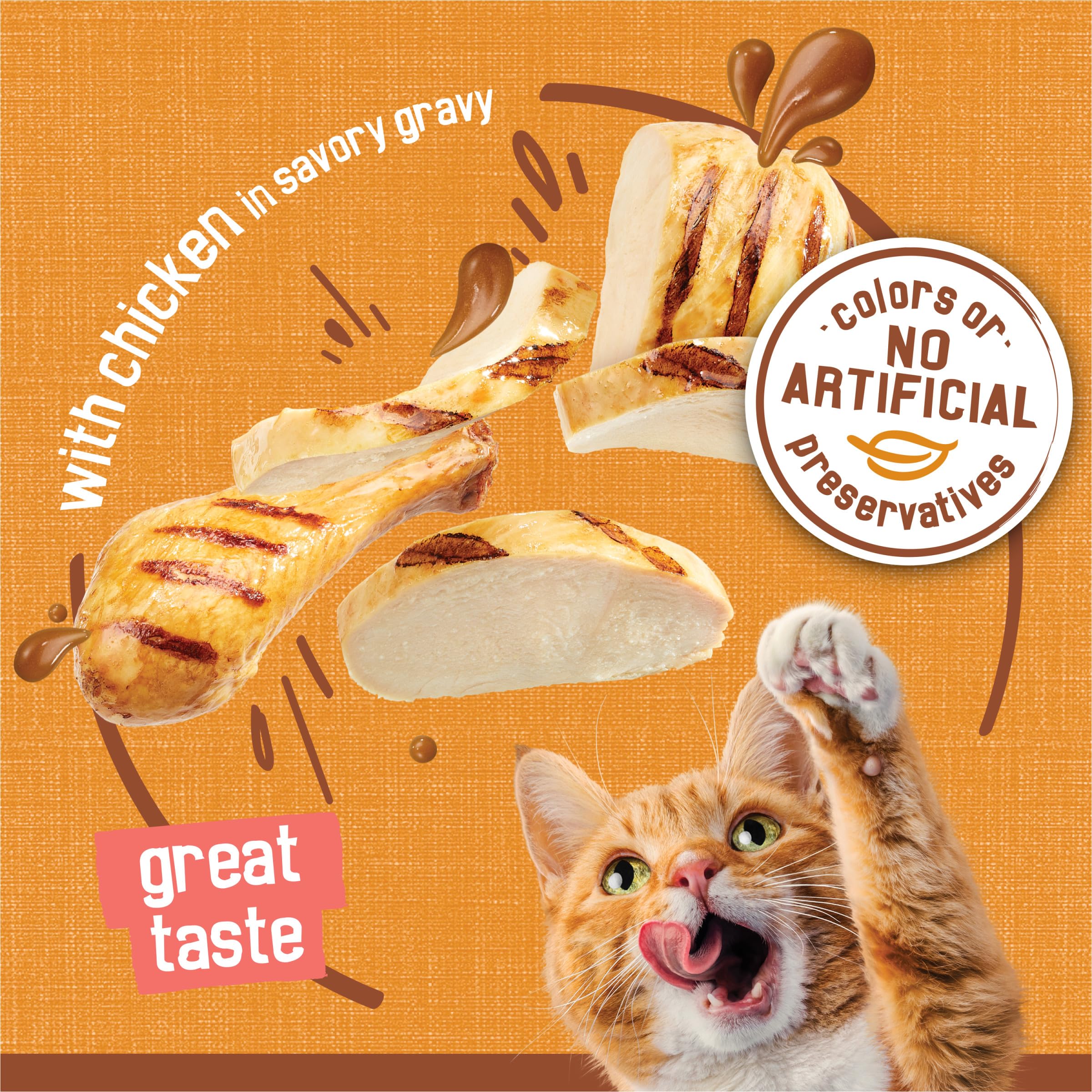 Purina Friskies Extra Gravy Wet Cat Food Chunky Chicken in Savory Gravy - (Pack of 24) 5.5 oz. Cans - Image 4