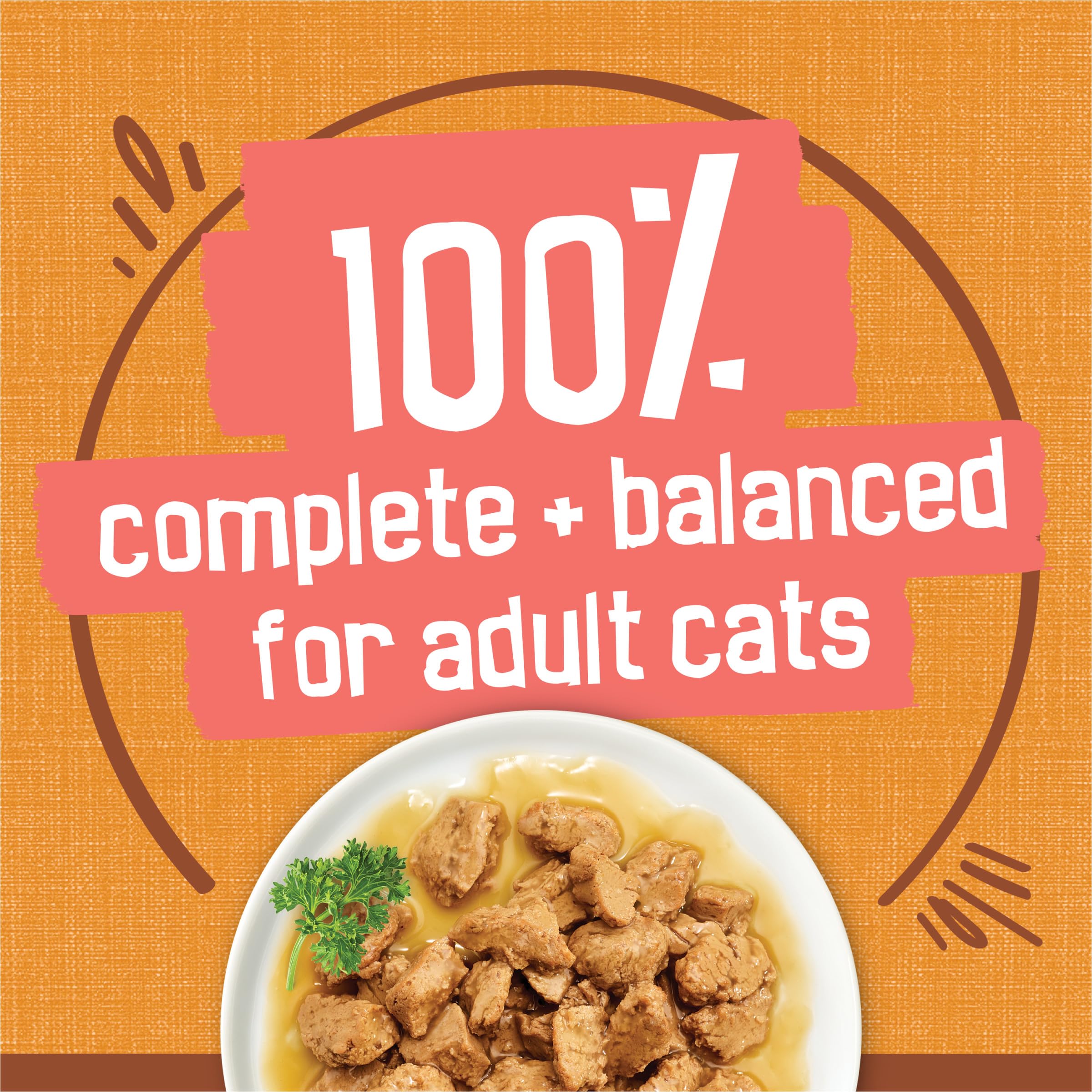 Purina Friskies Extra Gravy Wet Cat Food Chunky Chicken in Savory Gravy - (Pack of 24) 5.5 oz. Cans - Image 6