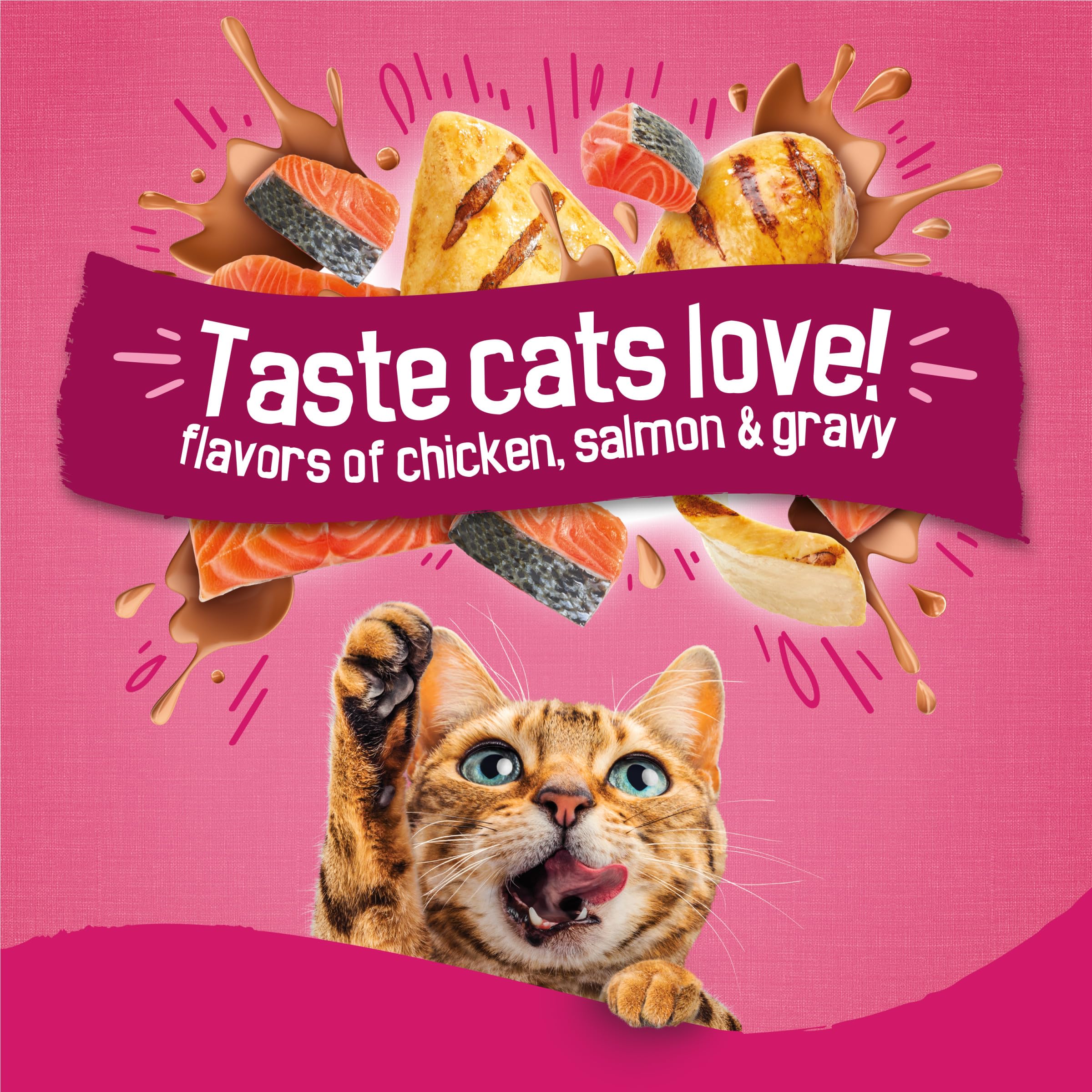 Purina Friskies Gravy Swirlers With Flavors of Chicken, Salmon and Gravy Dry Cat Food - 3.15 lb. Bag - Image 3