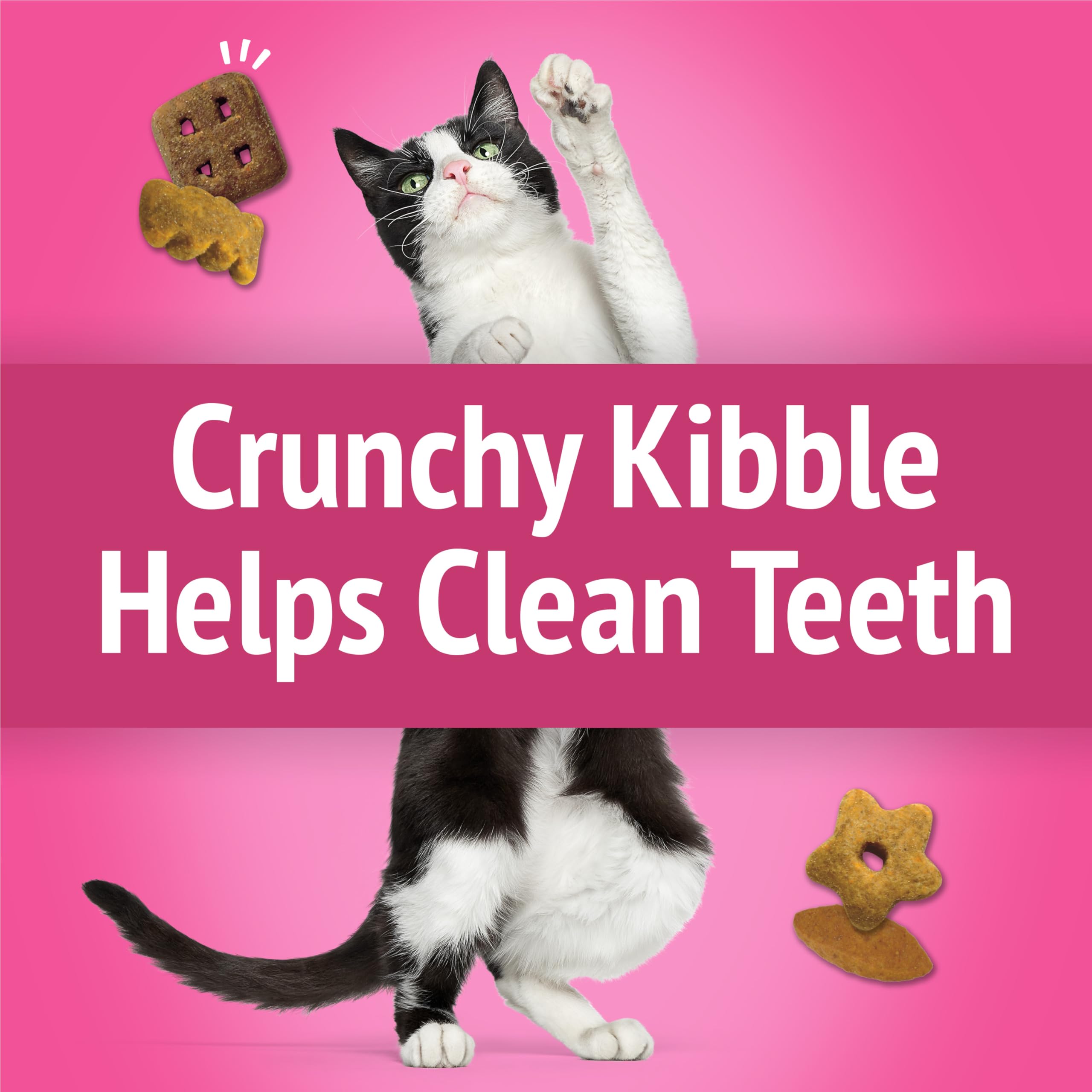 Purina Friskies Party Mix California Crunch with Chicken and Flavors of Turkey and Bacon Cat Treats - 30 oz Canister - Image 5