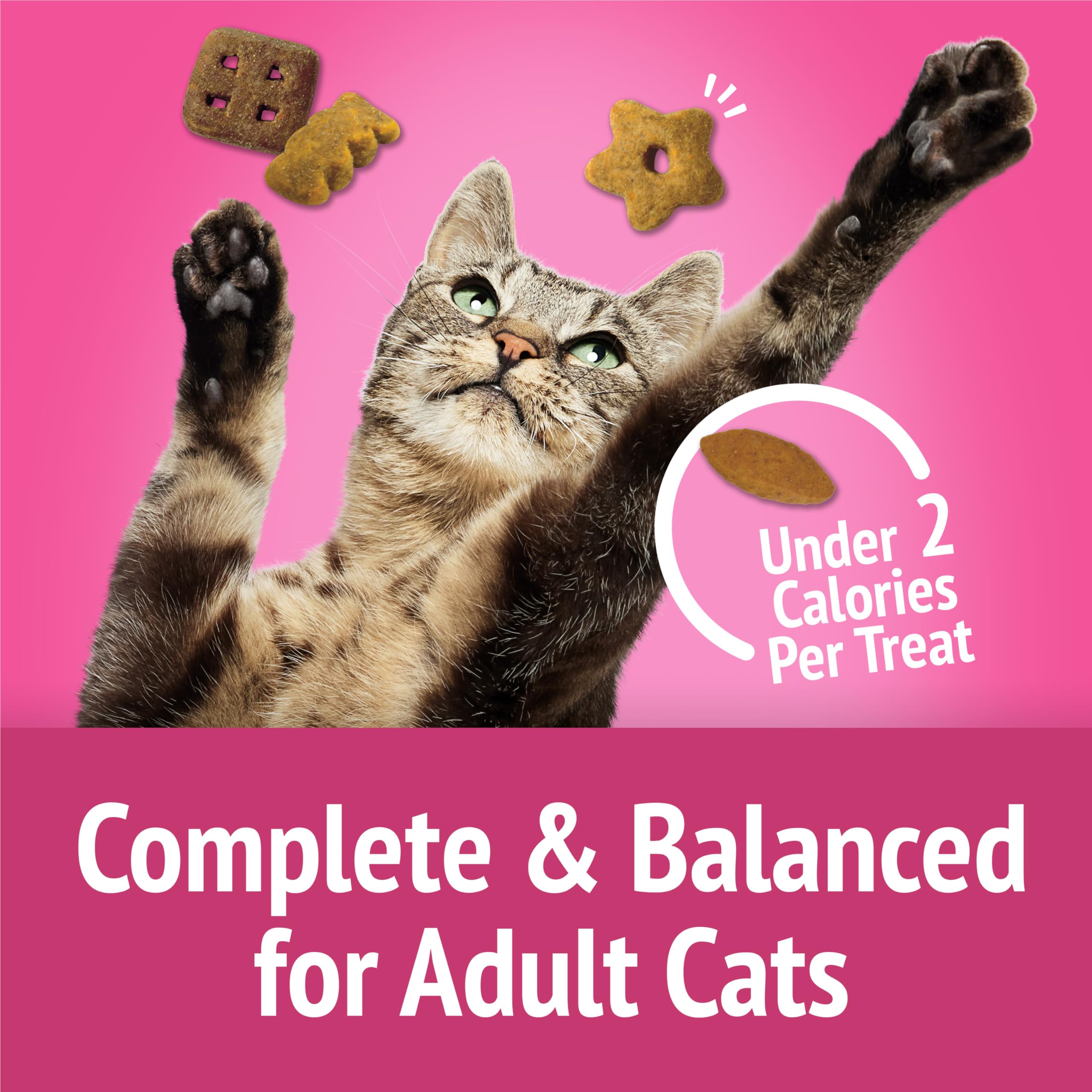 Purina Friskies Party Mix California Crunch with Chicken and Flavors of Turkey and Bacon Cat Treats - 30 oz Canister - Image 8