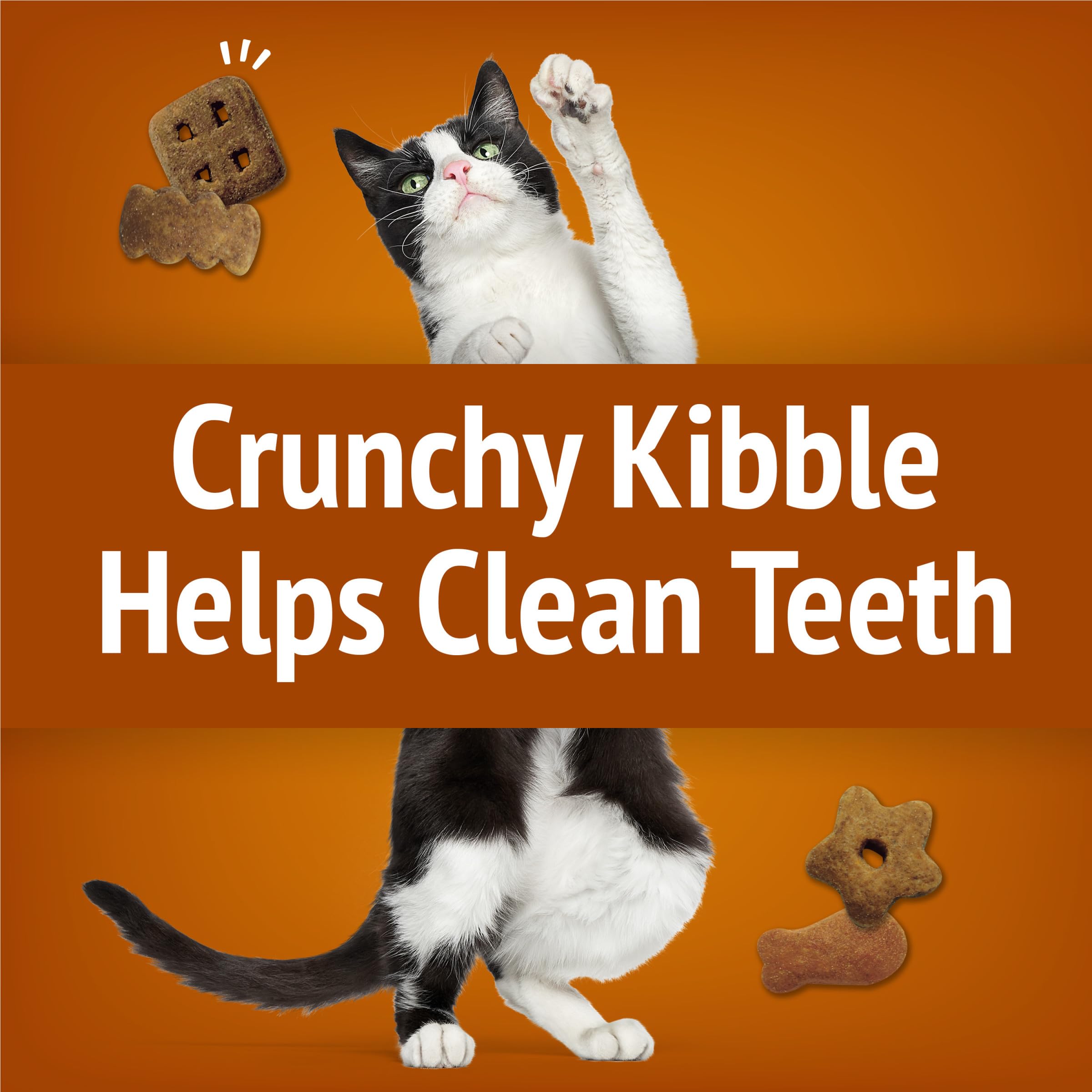 Purina Friskies Party Mix Chicken Lovers Crunch with Real Chicken Cat Treats - 30 oz Canister - Image 5