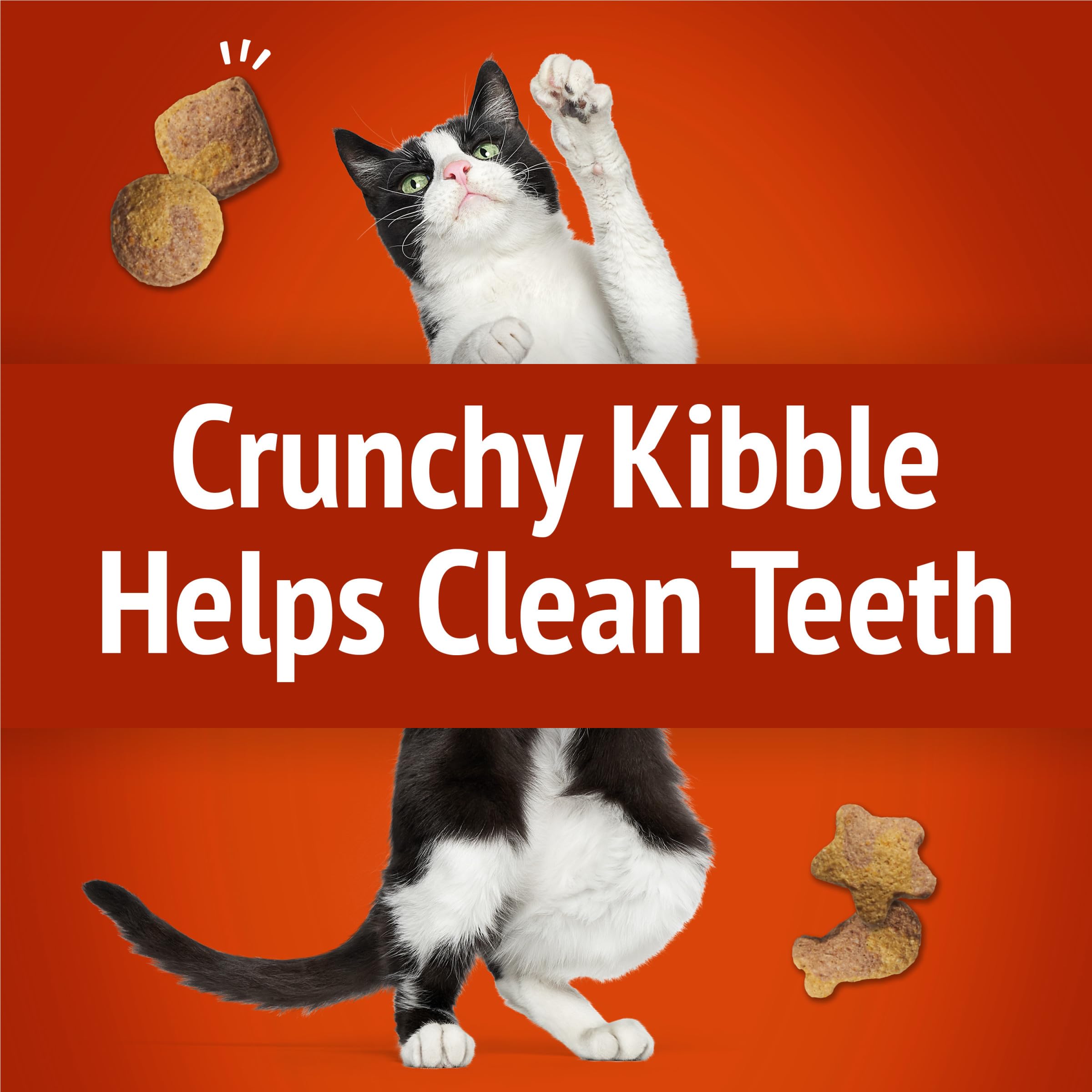 Purina Friskies Party Mix Gravy-Licious Crunch Chicken and Gravy Flavors Cat Treats - 30 oz Canister - Image 5