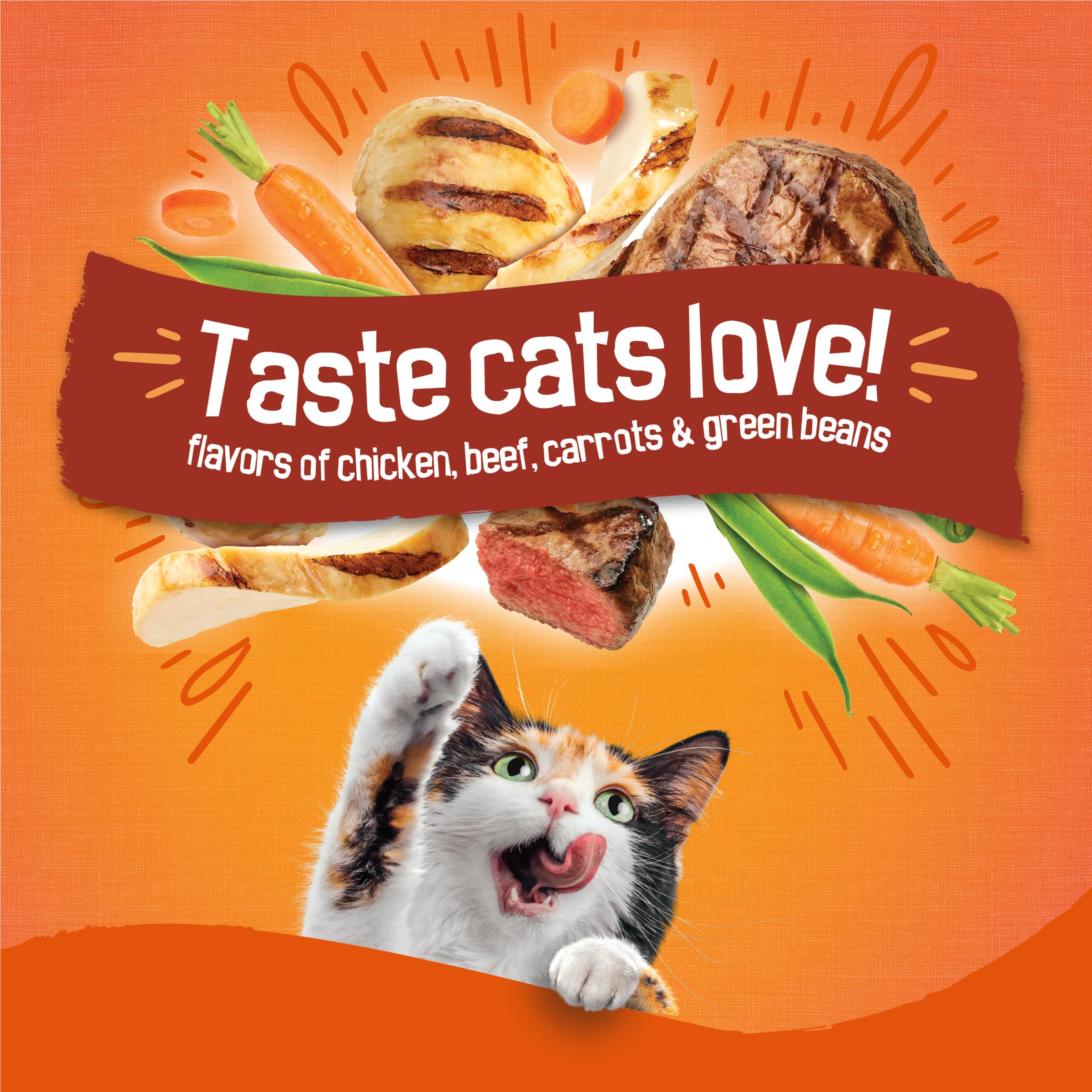 Purina Friskies Tender and Crunchy Combo with Flavors of Chicken, Beef, Carrots and Green Beans Dry and Tender Cat Food - 16 Lb. Bag (Packaging may vary) - Image 3